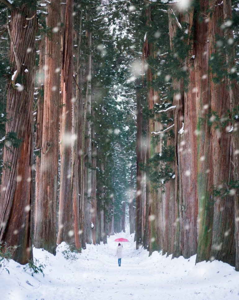 Ein Paar auf Reisen in Asien - Chopsticks on the Loose