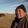 Fotograf Gavin Gough über seine Erfahrungen in der mongolischen Steppe