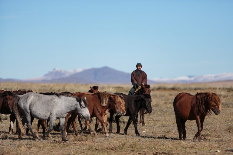 Fotograf Gavin Gough über seine Erfahrungen in der mongolischen Steppe