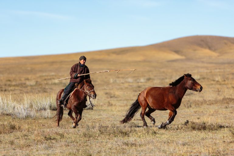 Fotograf Gavin Gough über seine Erfahrungen in der mongolischen Steppe